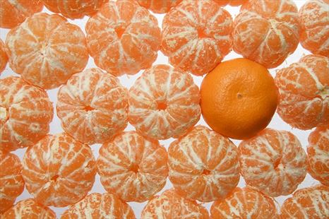 Las mejores mandarinas directas a tu hogar